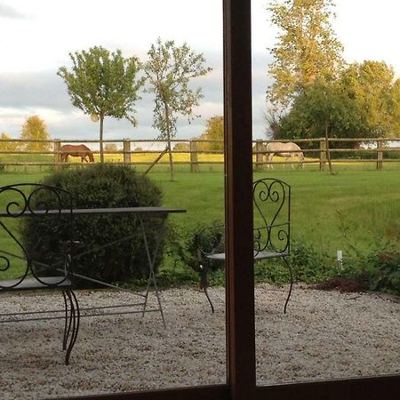 Haras Des Leudets Bed and Breakfast Blangy-le-Château Esterno foto